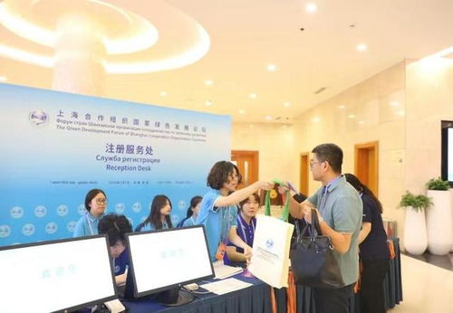 島城青年志愿者 以創(chuàng)意廣告助力上合家園共建